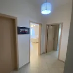 Apartamento Cozy With Zoo View *