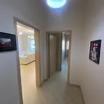 Apartamento Cozy With Zoo View